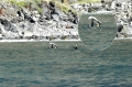 madeira funchai, cliffs-2